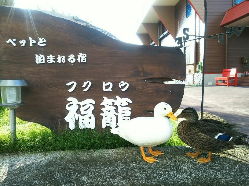 福龙山林小屋 串本町 外观 照片